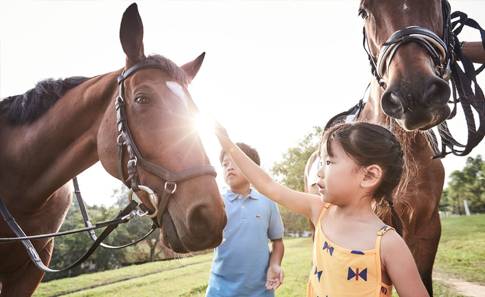 pony rider gallop and go