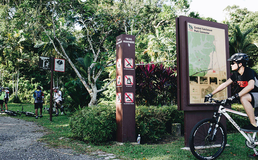 mountain bike track