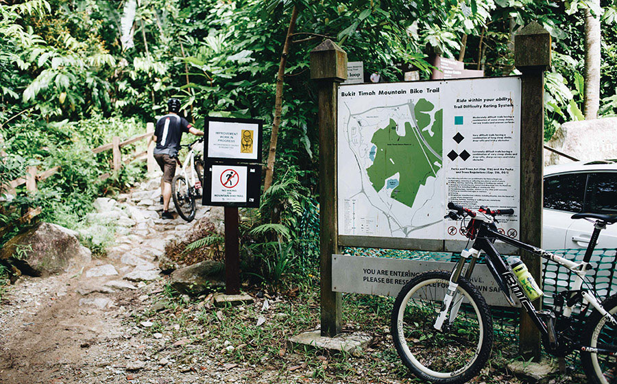 downhill bike trails near me