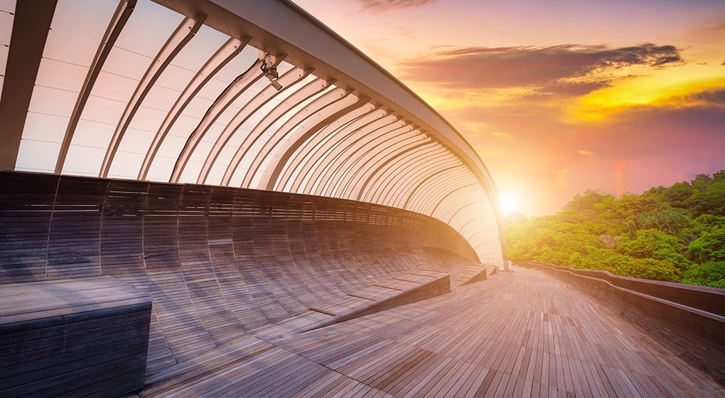 Henderson Waves Bridge