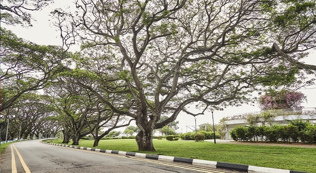 tourist places near sg highway